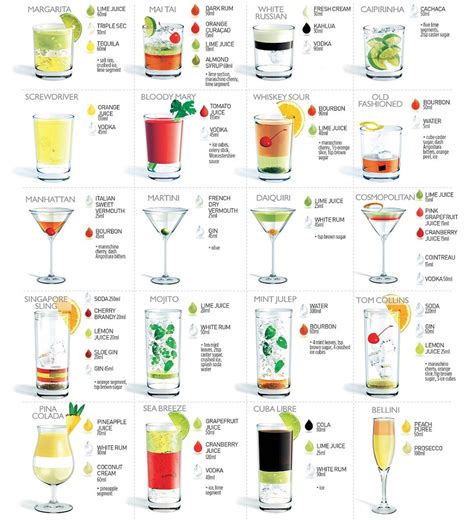 Types of cocktails Diagram | Quizlet