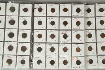 Collection of Indian Head Pennies | Cottone Auctions