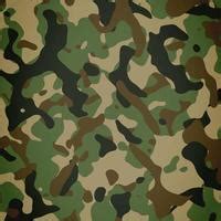 Camouflage Vector Art, Icons, and Graphics for Free Download