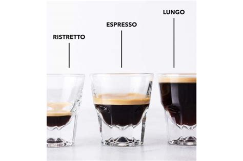 Ristretto, Espresso and Lungo: What's the Difference Espresso Ratio? - Helena Coffee Vietnam