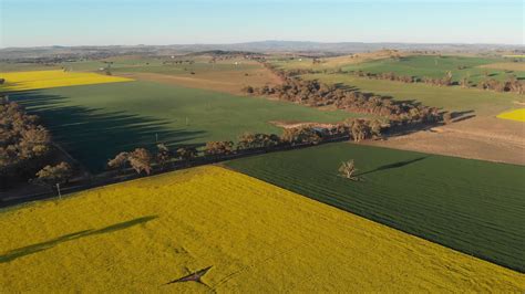 Rural Australia Crop Farming Agricultural Stock Footage SBV-327305505 - Storyblocks