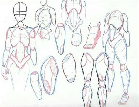 18 Human Anatomy Drawing Ideas and Pose References - Beautiful Dawn Designs Human Body Drawing ...