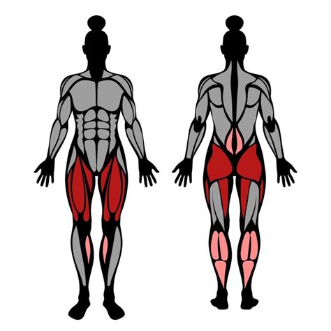 How to Goblet Squat: Muscles Worked & Proper Form – StrengthLog