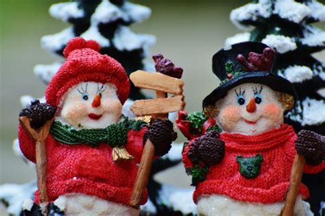 Free fotobanka : zima, modrý, Vánoce, vánoční strom, slavit, deco, Medvídek, příchod, vánoční ...