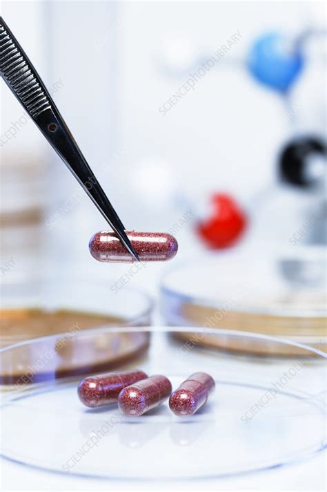 Probiotics research - Stock Image - C043/6261 - Science Photo Library