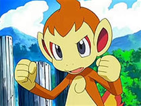 Image - 210px-Chimchar-anime.jpg - PokéFanon: The official unofficial ...