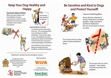 Dog Bite Prevention | Teaching Resources