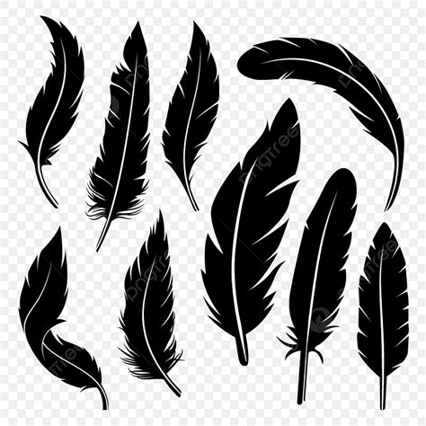 Turkey Feather Silhouette Svg