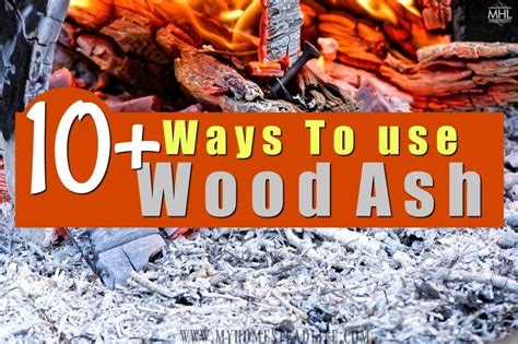 10+ AMAZING Ways To Use Wood Ash! - My Homestead Life