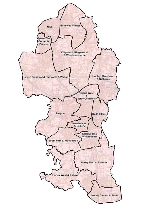 Borough & Elections - Reigate Constituency Labour Party