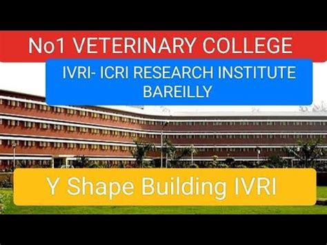 ivri part 2 || IVRI Campus Tour || Bareilly आईवीआरआई की पूरी जानकारी - YouTube