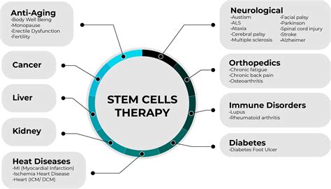 Stem Cells Can Be Used With Therapeutic Benefit - Regions Clinic