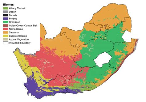 Natural Capital Accounting and Valuation of Ecosystem Services - South Africa | System of ...