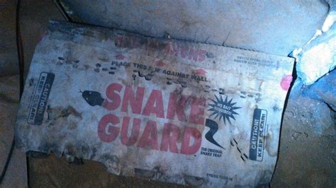 Snake Removal — Wildlife Company LLC