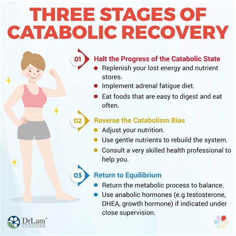 How To Keep Your Body In An Anabolic State - Memberfeeling16