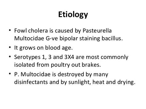 Fowl cholera