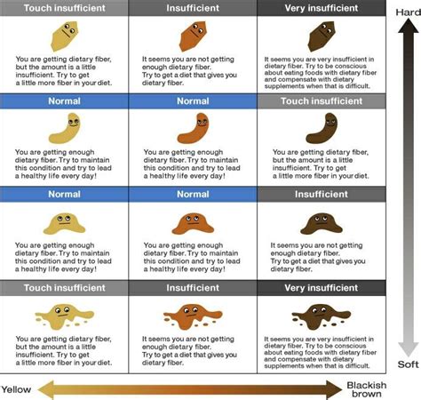 Pin by Ashley Preston on general health | Stool color chart, Healthy ...