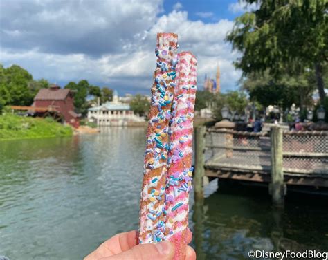 REVIEW: The Disney World Churro That Will Keep Your Dentist on Speed ...