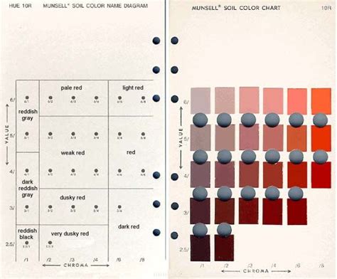 Munsell Color Chart Online Free | free is and color munsell below amazon reading 68 free | Carta ...