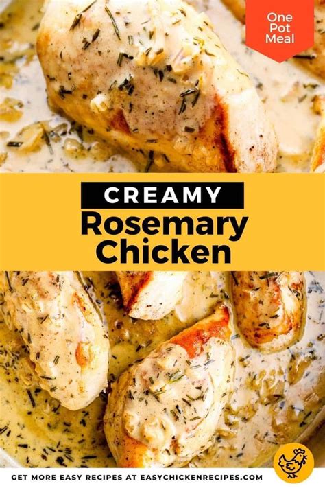 Creamy Rosemary Chicken Recipe - Easy Chicken Recipes | Rosemary ...