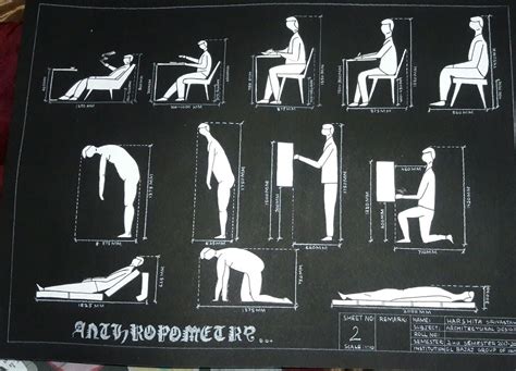 Anthropometry#on_scale#standard_dimensions | Public space design ...