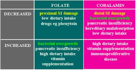 TLI, Folate & B12 - Veterinary Laboratory UK | Diagnostic Services