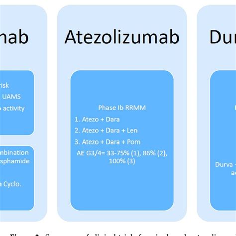 Summary of clinical trials for nivolumab, atezolizumab, and durvalumab ...