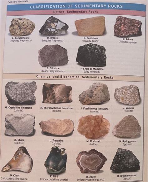 Solved Examining Sedimentary Compositions and Textures | Chegg.com