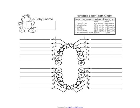 Downloadable Printable Dental Charting Forms | TUTORE.ORG - Master of Documents