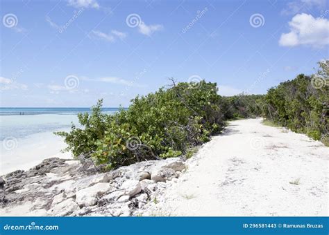 Little Stirrup Cay Island only Road Stock Image - Image of view ...