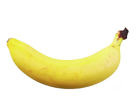 Banana on white background Photograph by Nenov Images - Pixels