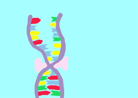 Masters Project Science Animation: DNA Transcription- New look