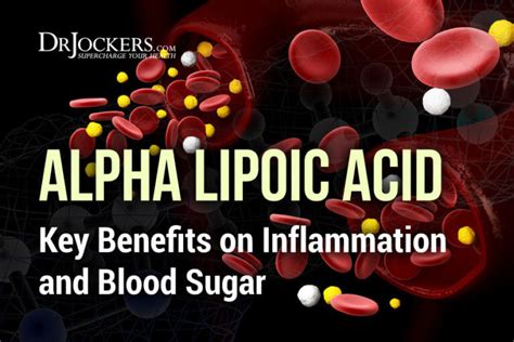 Alpha Lipoic Acid: Key Benefits on Inflammation and Blood Sugar