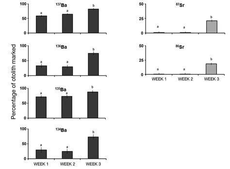 Percentage of an otolith marked with enriched barium isotopes between ...