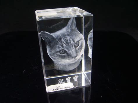 3D Crystal Engraving Puts 3D Photographs On Your Bookshelf | Bit Rebels