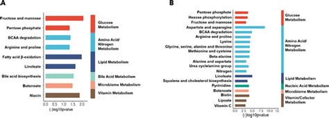 High-resolution plasma metabolomics and thiamine status in critically Ill adult patients - PMC