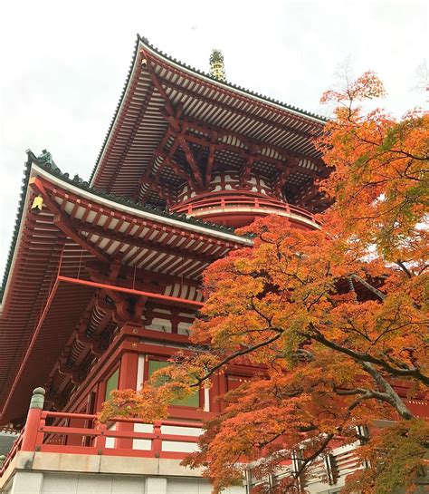 5 Incredible Things to Do in Narita, Gateway to Japan