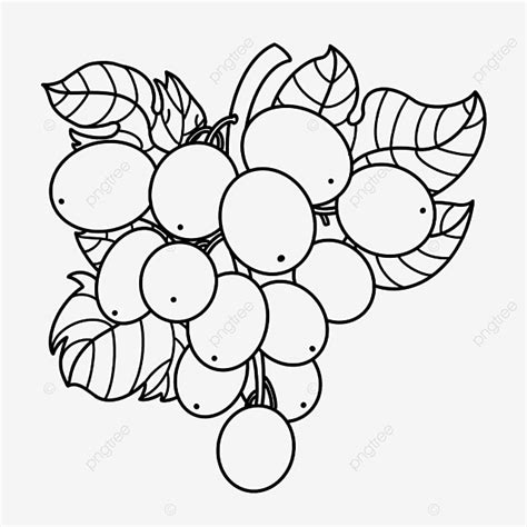 Fruit Grape Clipart Black And White, Lip Drawing, Grape Drawing, Black ...