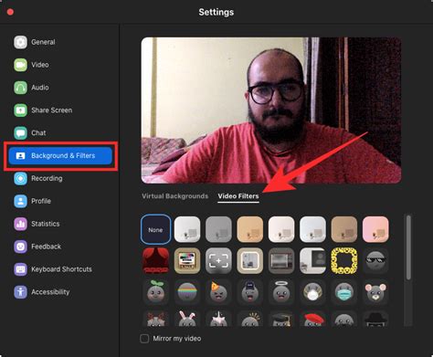 Best Zoom Filters: How to get and use them