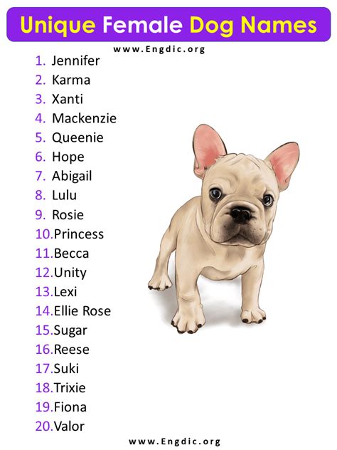 20 Unique Female Dog Names (With Cool Meanings) - EngDic