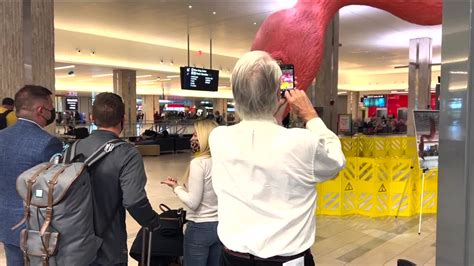 Giant flamingo sculpture makes a splash at TPA