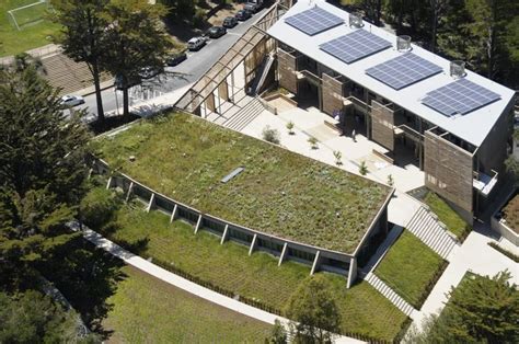 rooftop school garden | Architecture, Green architect, Rooftop garden