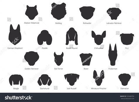 Silueta vectorial de razas de perro: vector de stock (libre de regalías) 523688704 | Shutterstock