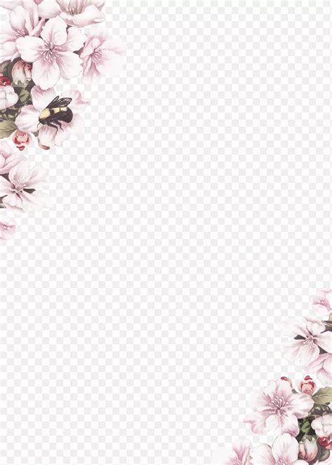 Cherry blossom flower border frame on transparent background | free ...