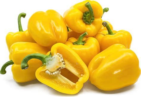 Yellow Holland Bell Peppers Information and Facts