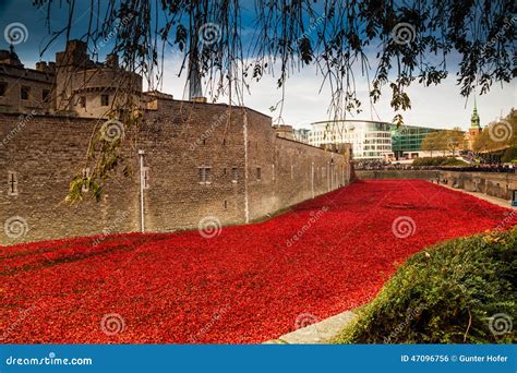 Tower of London Poppy Display WW1 Editorial Photo - Image of tower ...