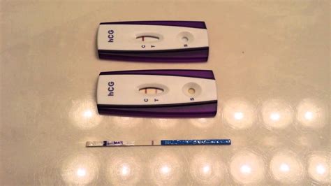 PREGNANCY TEST! (Adding HCG after Dye Runs) UPDATE - YouTube