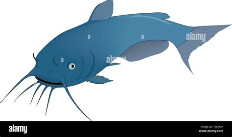 Blue Catfish Vector Illustration Stock Vector Image & Art - Alamy