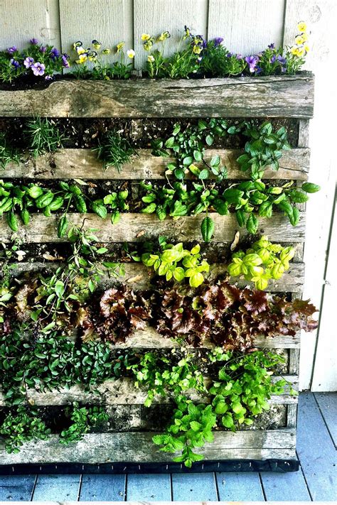 How To Create A Green Wall Garden at Deborah Deleon blog