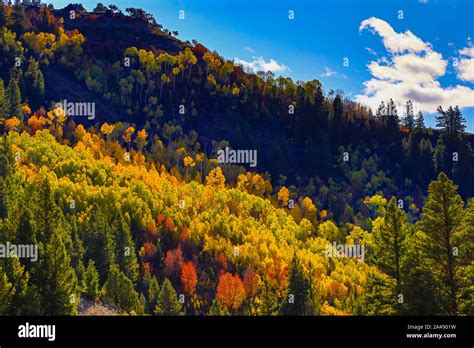 This is a view of the fall colors on the trees along US Highway 89, the ...